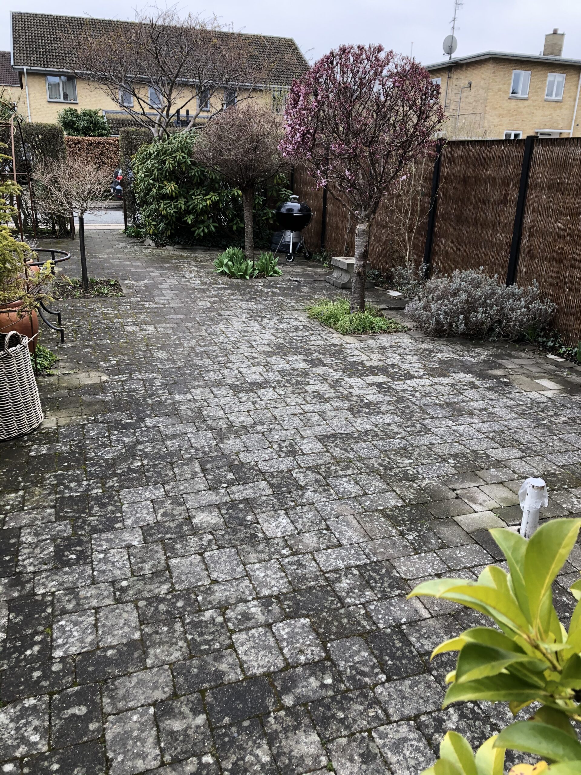 Before Image